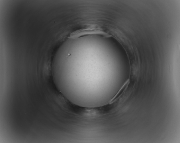 X0000089450376200706291447