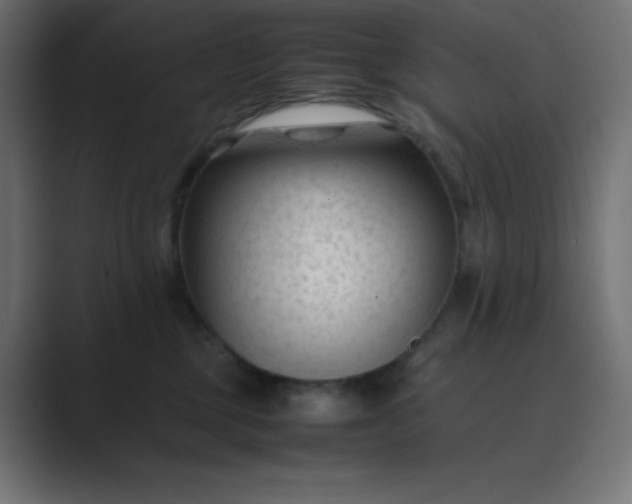 X0000089450377200706291447