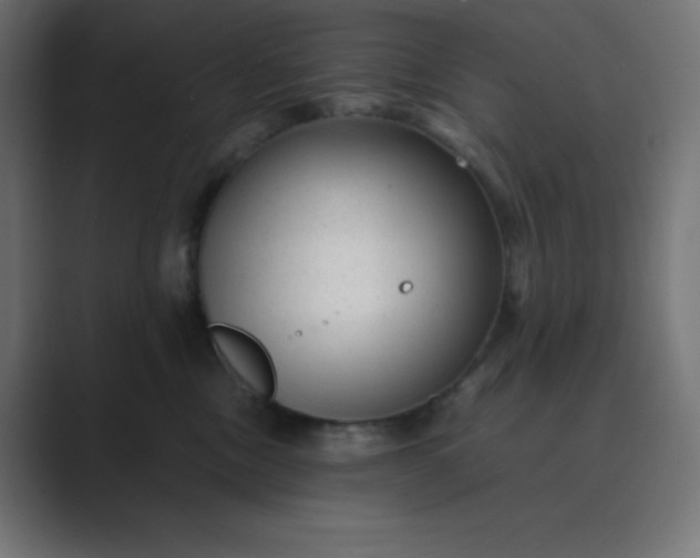 X0000089450378200706291447