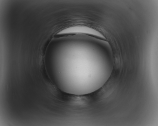 X0000089450379200706291448