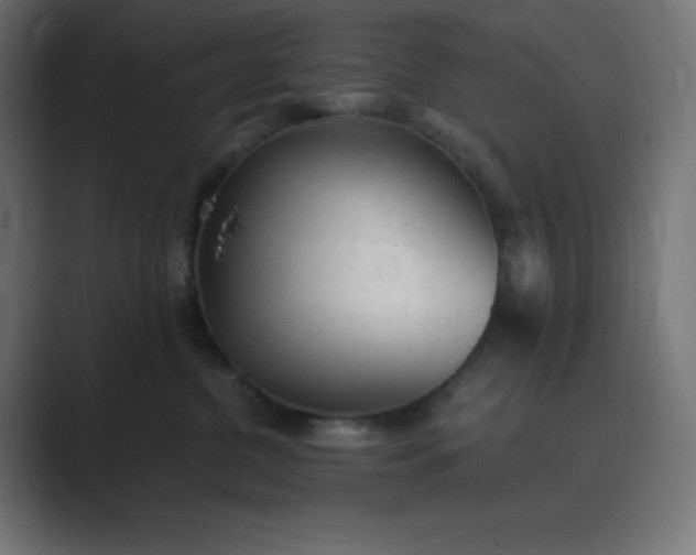 X0000089450380200706291448
