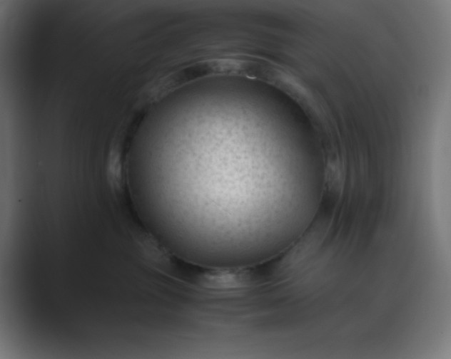 X0000089450381200706291448