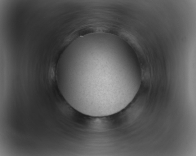 X0000089450382200706291448