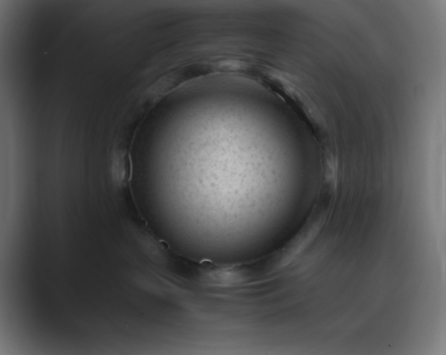 X0000089450383200706291448
