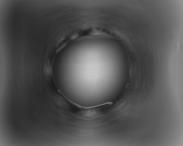 X0000089450384200706291448