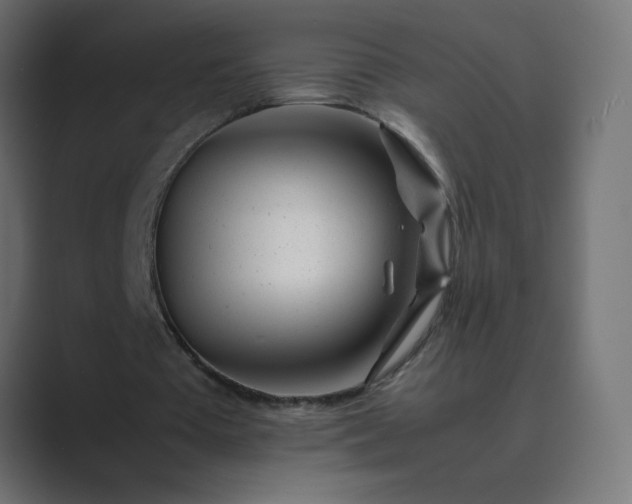 X0000089450385200706291447