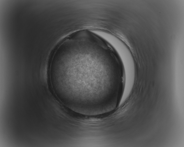 X0000089450387200706291447
