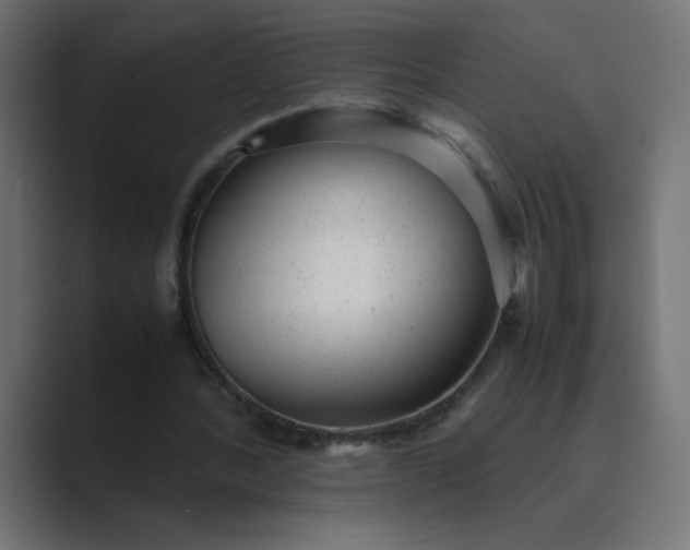 X0000089450388200706291447