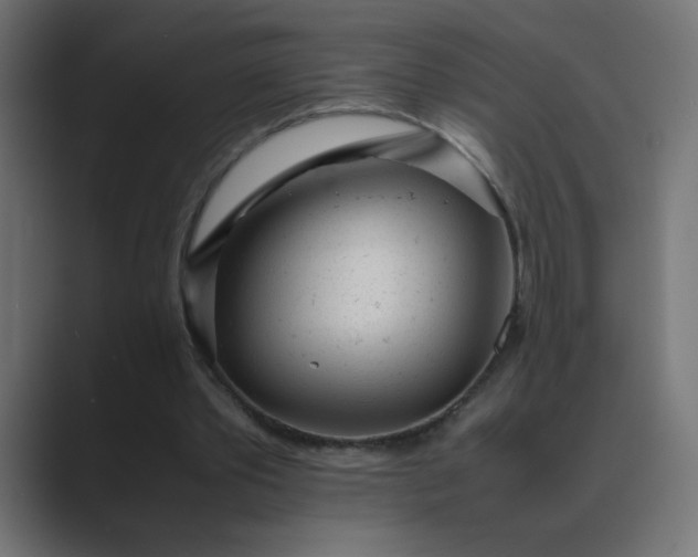 X0000089450389200706291447