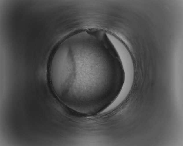 X0000089450391200706291447