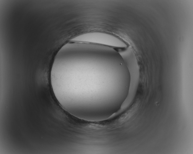 X0000089450393200706291447