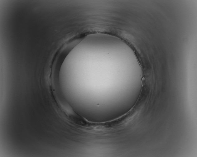 X0000089450395200706291447