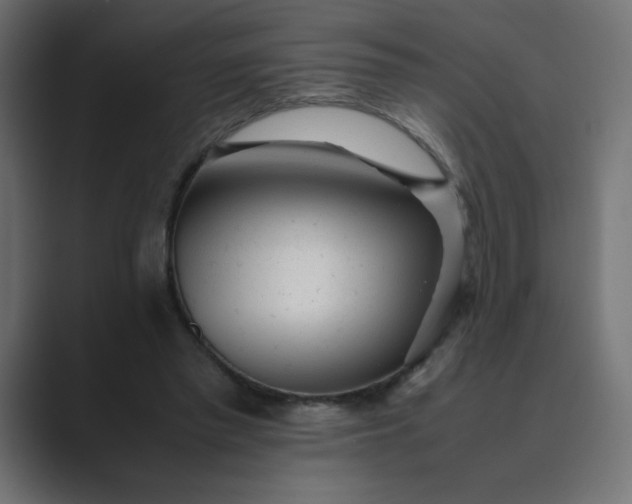 X0000089450397200706291447