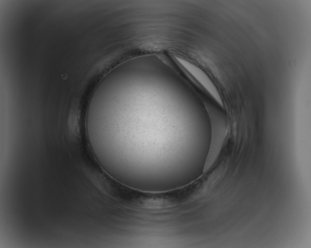 X0000089450400200706291447
