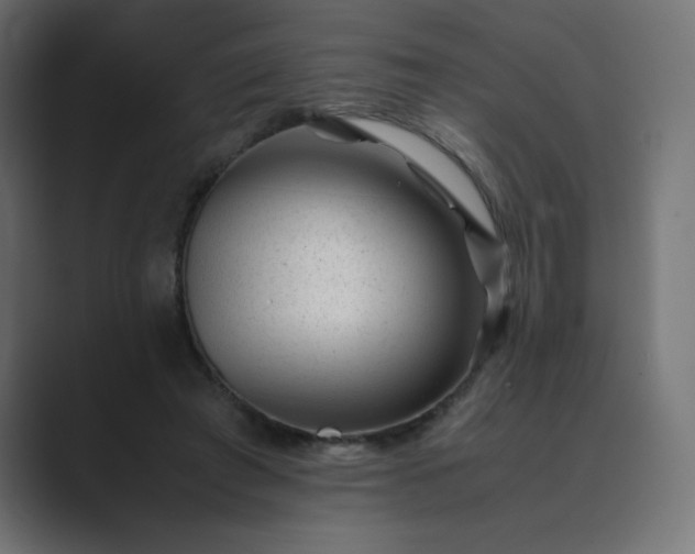 X0000089450401200706291447