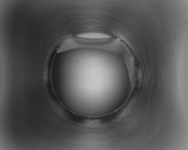 X0000089450403200706291447
