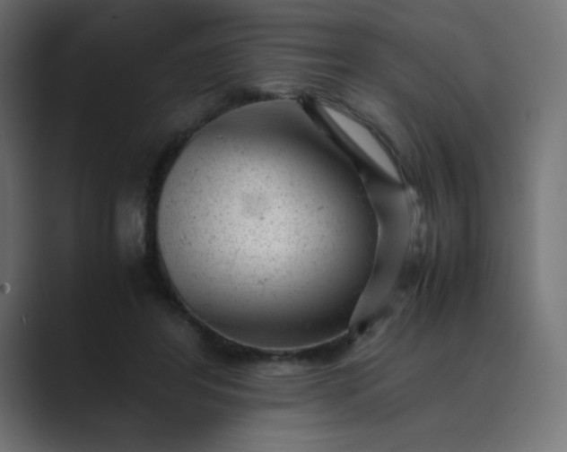 X0000089450404200706291447