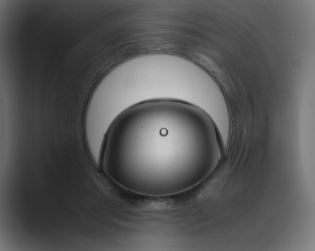 X0000089450405200706291447