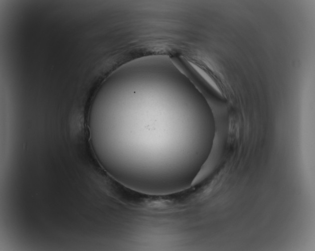 X0000089450407200706291447