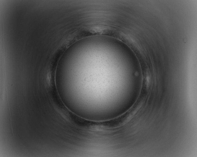 X0000089450408200706291447