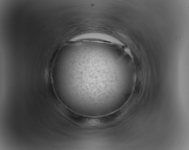 X0000089450409200706291447