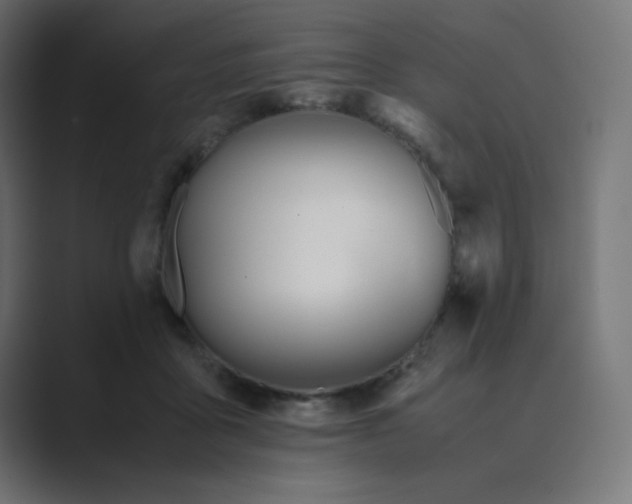 X0000089450411200706291447