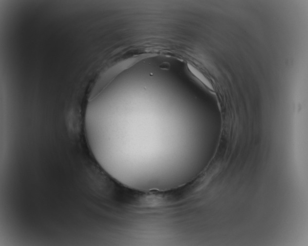 X0000089450413200706291447