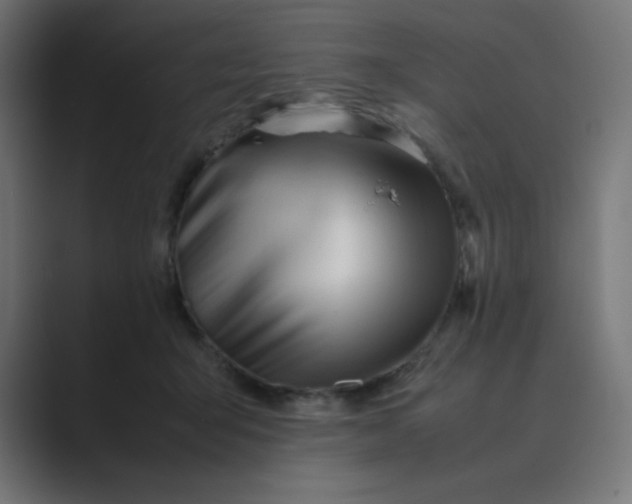X0000089450415200706291447