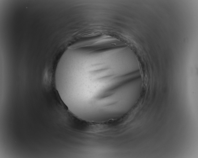 X0000089450417200706291446
