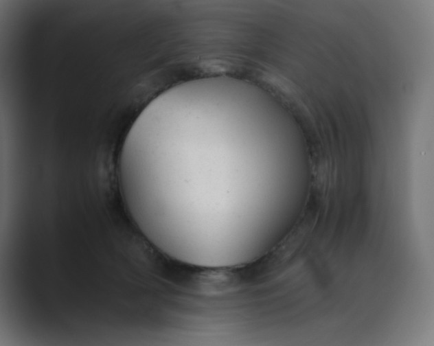 X0000089450418200706291446