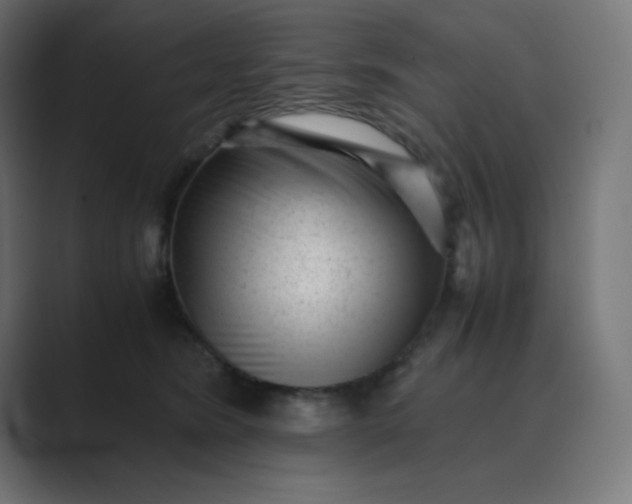X0000089450420200706291446