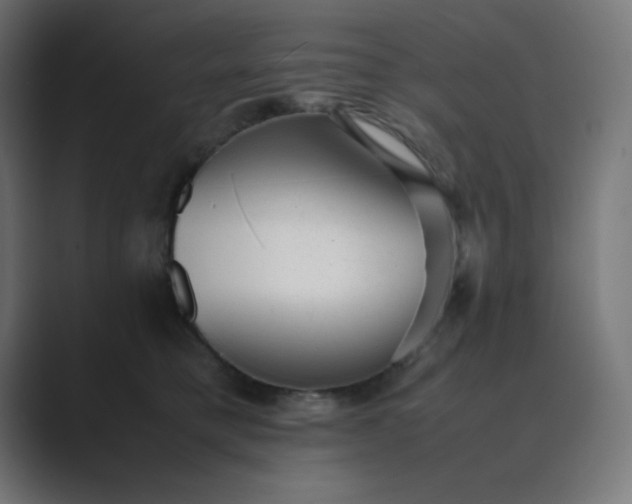 X0000089450421200706291446