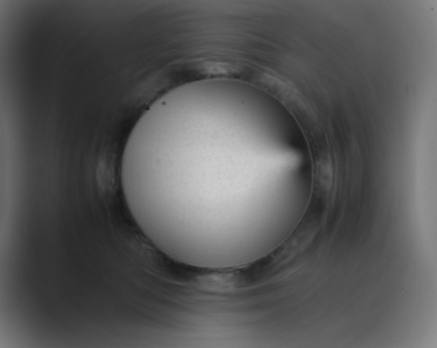 X0000089450422200706291446