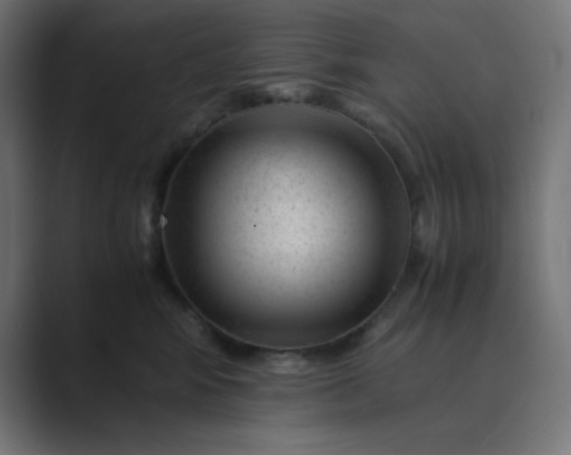 X0000089450424200706291446