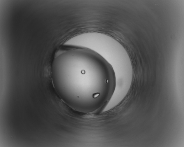 X0000089450425200706291446