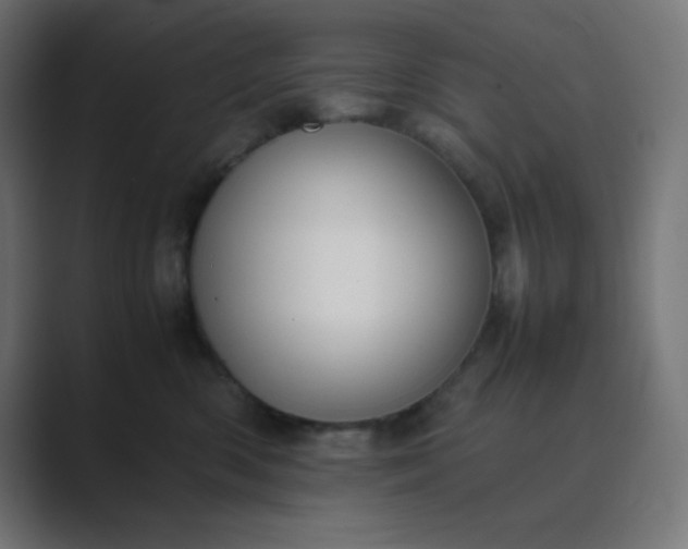 X0000089450426200706291446