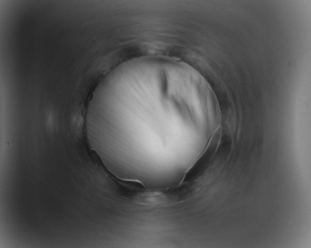 X0000089450427200706291446