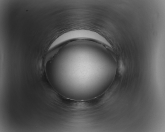 X0000089450428200706291446