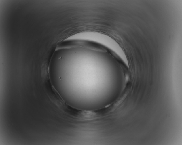 X0000089450429200706291446