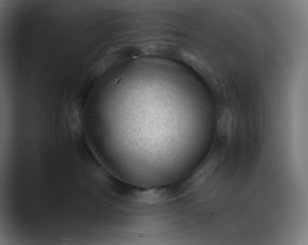 X0000089450430200706291446