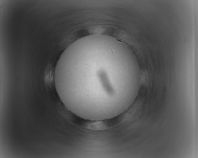 X0000089450431200706291446