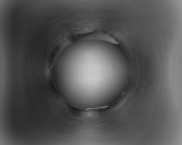 X0000089450432200706291446