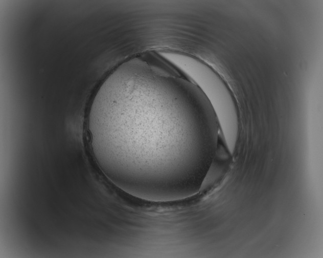 X0000089450434200706291446