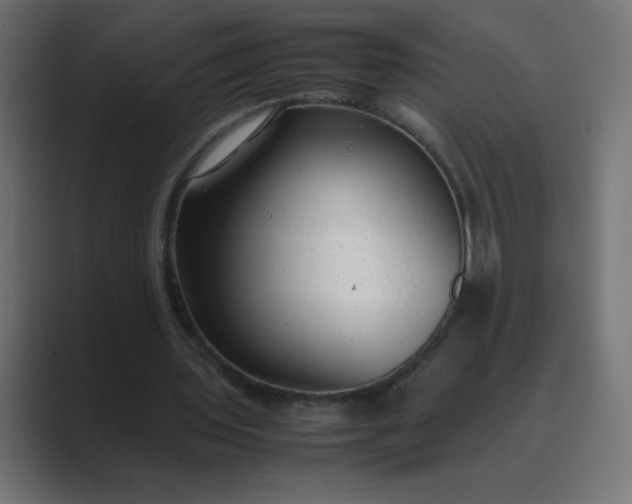 X0000089450435200706291446