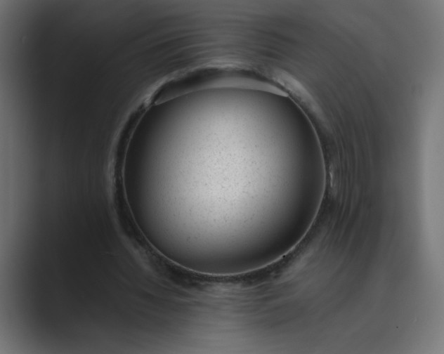 X0000089450436200706291446