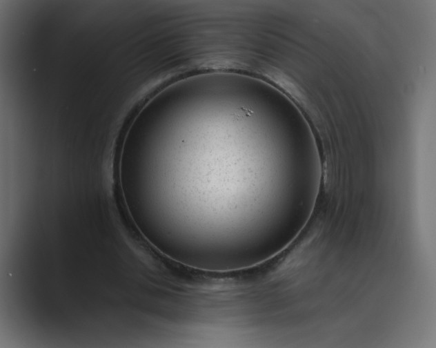 X0000089450438200706291446