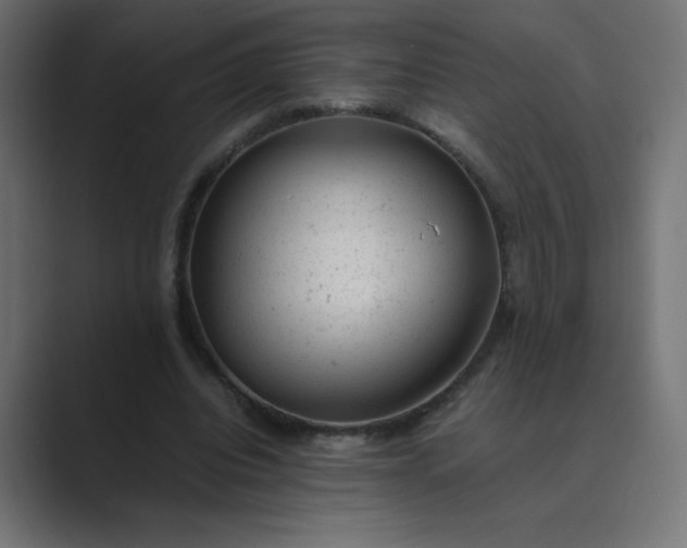 X0000089450440200706291446