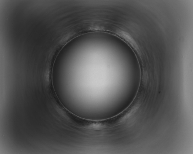 X0000089450441200706291446