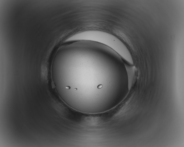 X0000089450444200706291446