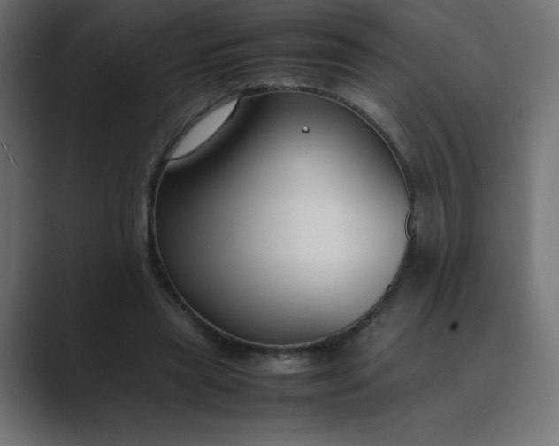 X0000089450445200706291446
